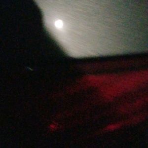 Meet your Posher, Fred