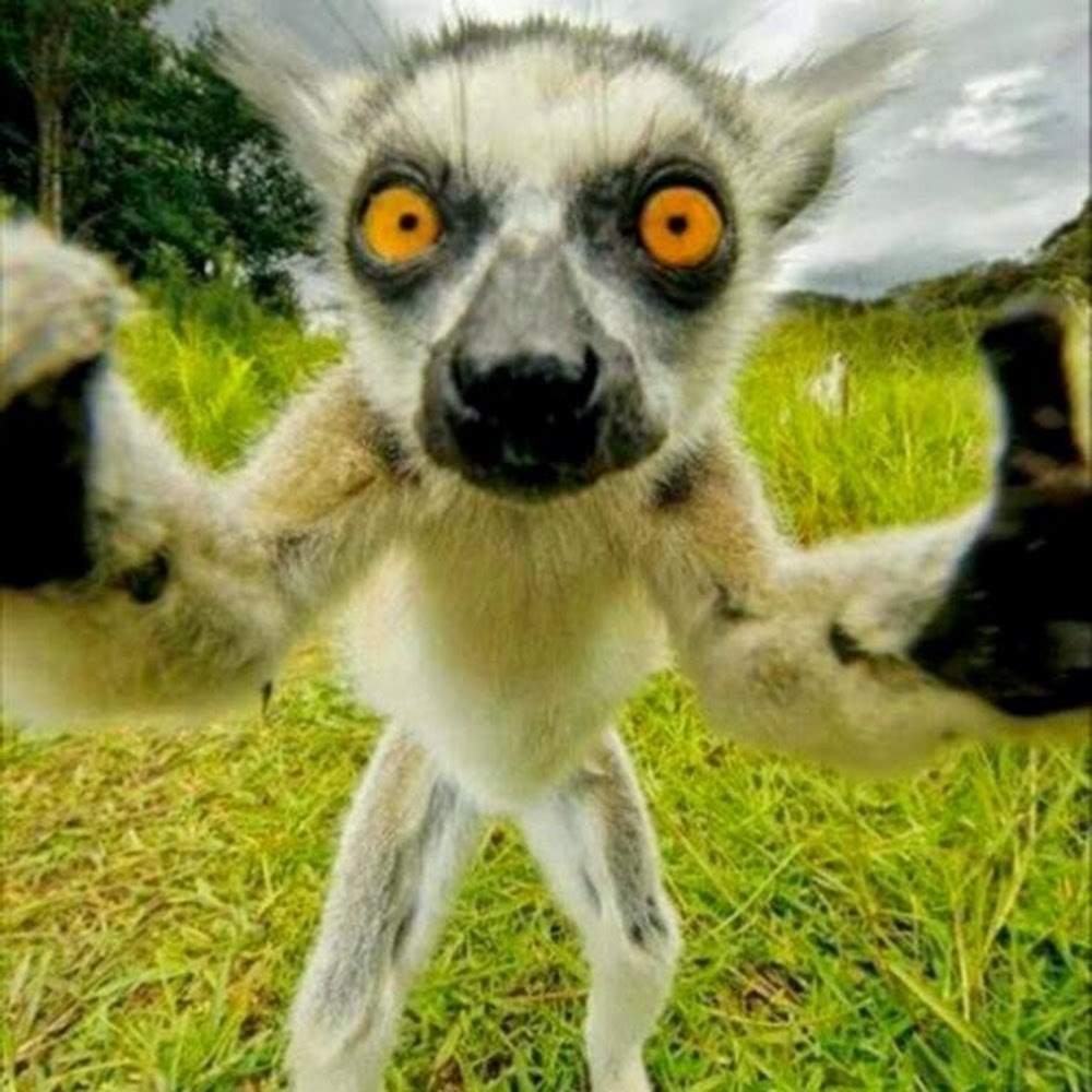 Meet your Posher, Hope