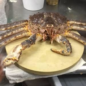 Meet your Posher, Zhenwu