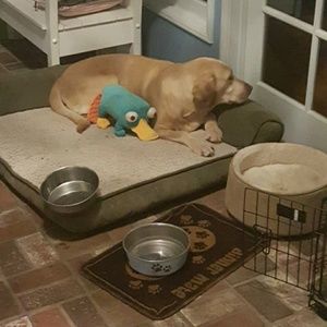 Meet your Posher, Jack