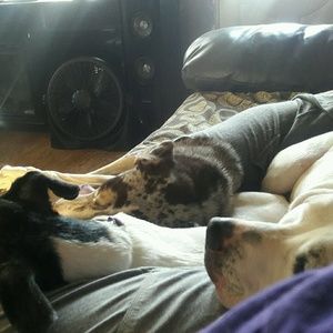 Meet your Posher, Angela