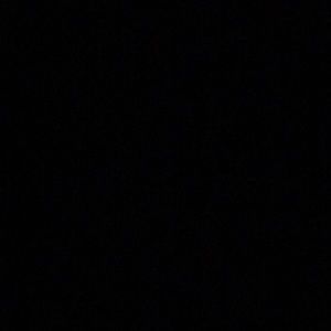 Meet your Posher, Spencer