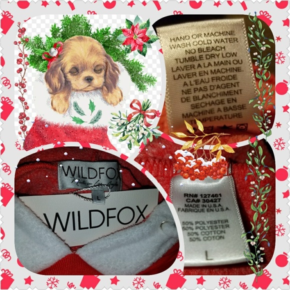 Wildfox "Holiday Pom-Pom" Hoodie - Picture 3 of 5