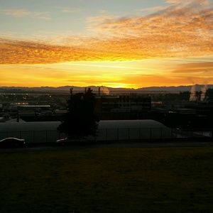 Meet your Posher, Shalaun