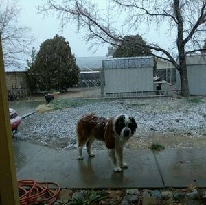 Meet your Posher, Sandy