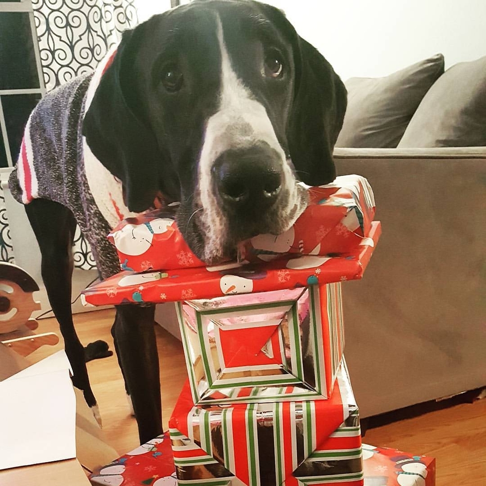 Meet your Posher, Samantha