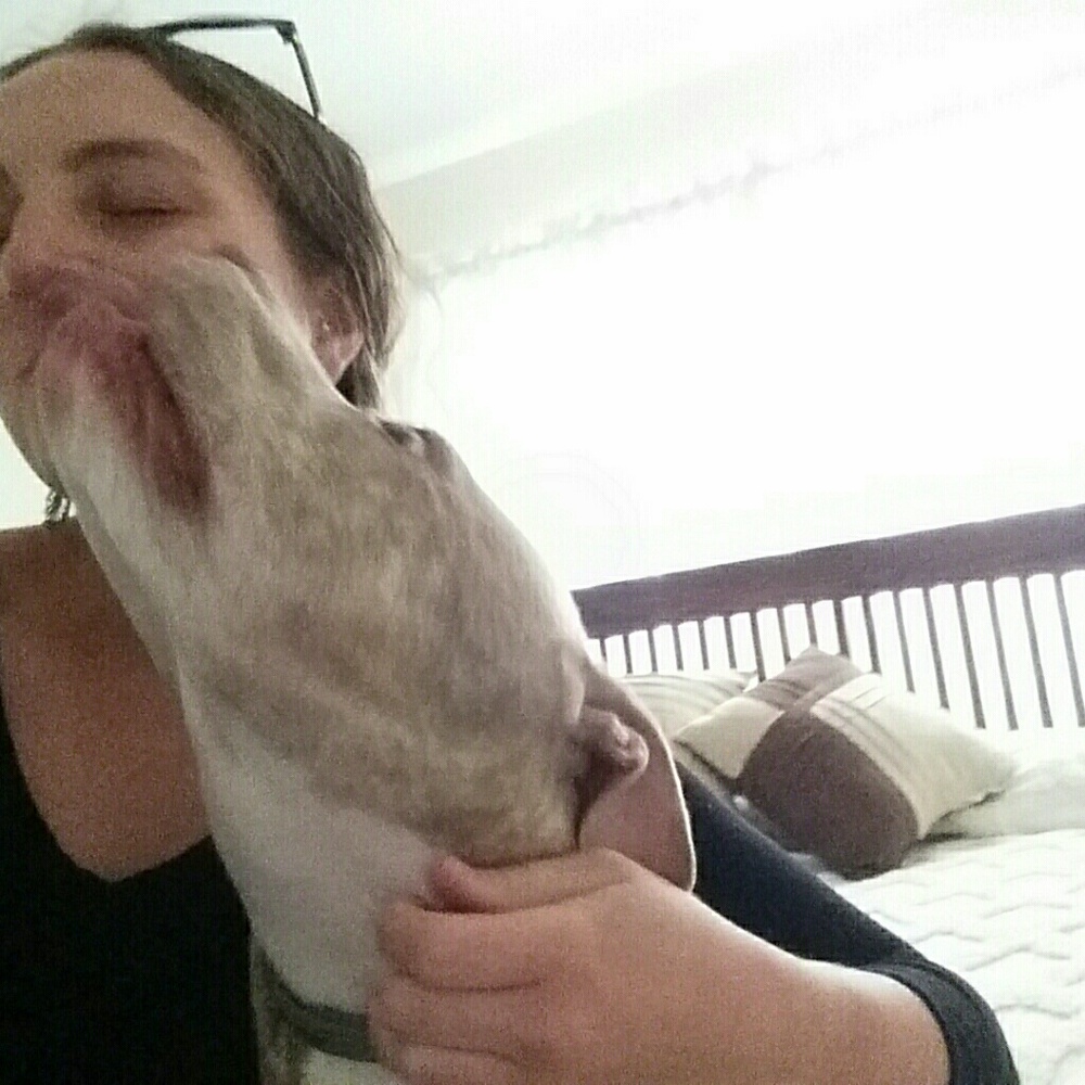 Meet your Posher, Alex