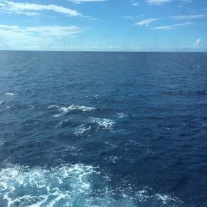 Meet your Posher, Desiree