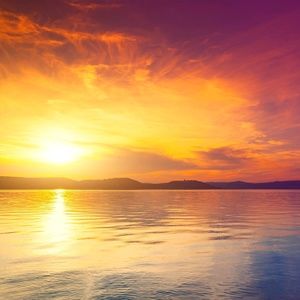 Meet your Posher, Ami