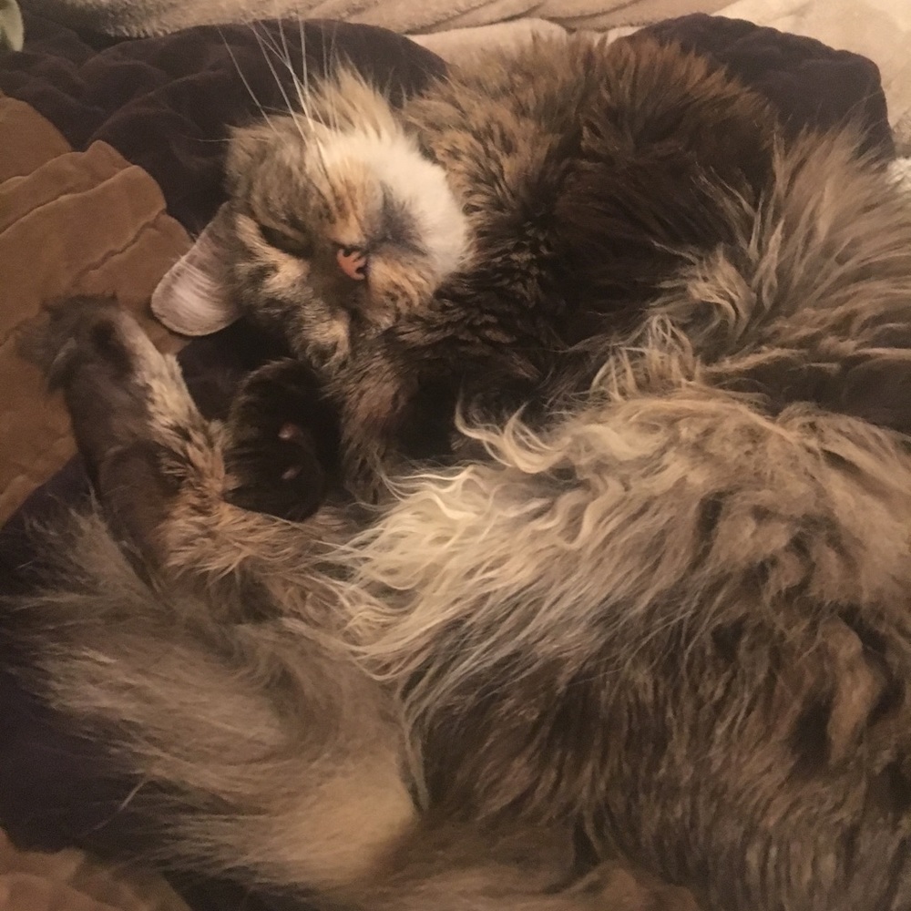 Meet your Posher, Andy