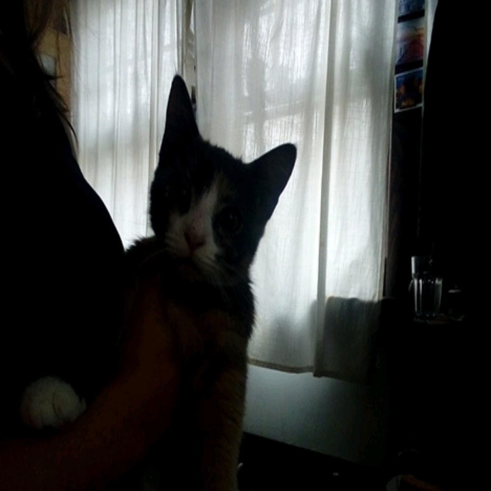 Meet your Posher, Jaren