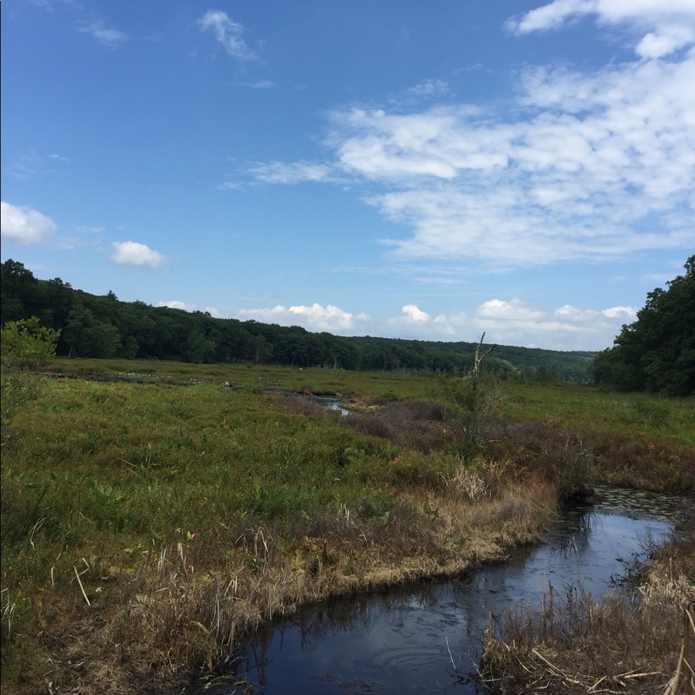 Meet your Posher, Gabe