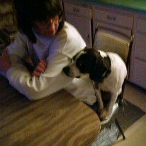 Meet your Posher, Patricia