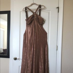 Ignite by Carol Lin Gown