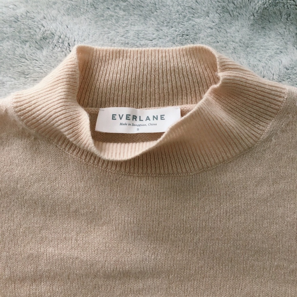 Blush Cashmere Sweater Everlane