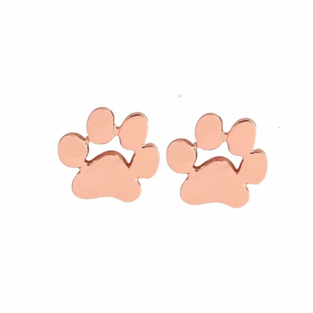 🎉3 for $15 Paw Print Earring