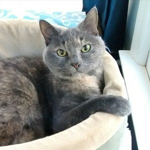 Meet your Posher, Bonnie