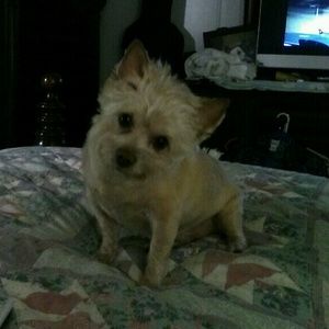 Meet your Posher, Dale