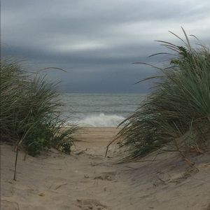 Meet your Posher, Michele