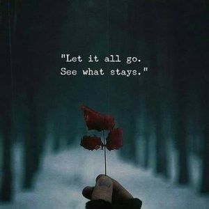 Meet your Posher, Toi