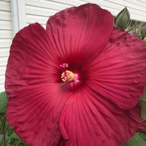 Meet your Posher, Margaret