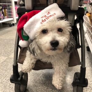 Meet your Posher, Humberto