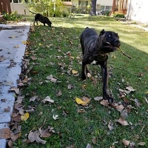 Meet your Posher, Edward