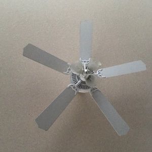 Meet your Posher, Jesse