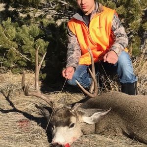 Meet your Posher, Levi