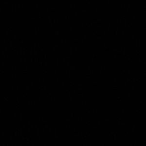 Meet your Posher, Bobby