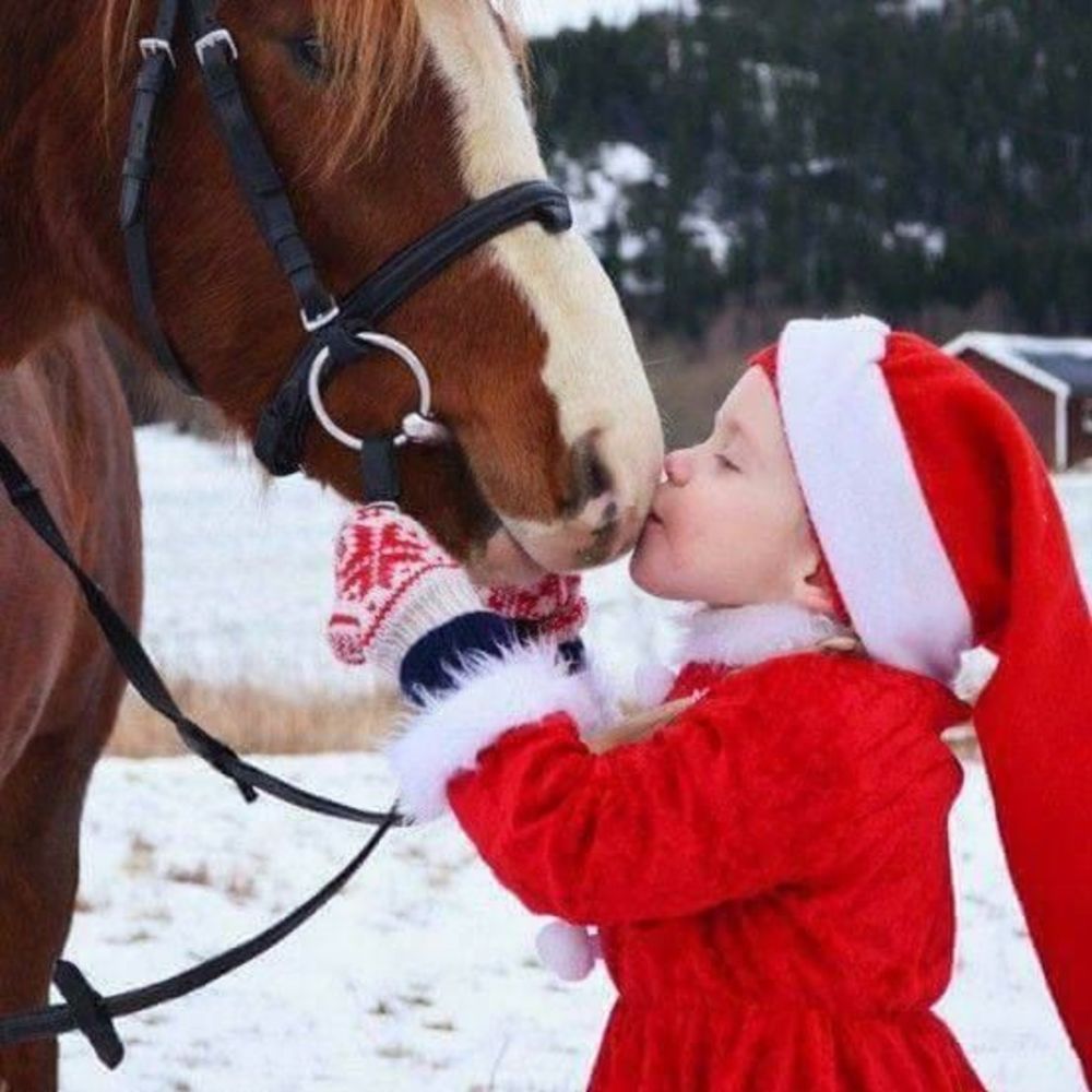 Meet your Posher, Dee