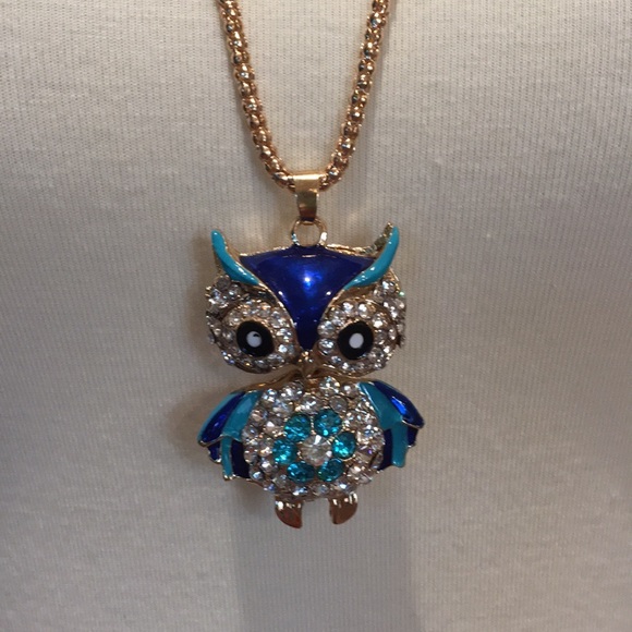 Betsey Johnson Jewelry - Betsy Johnson Owl Necklace