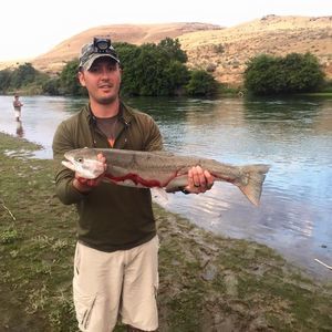 Meet your Posher, Kyle