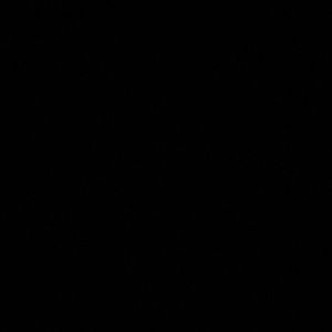 Meet your Posher, Dylan