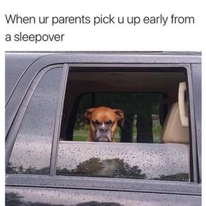 Meet your Posher, Lawrence