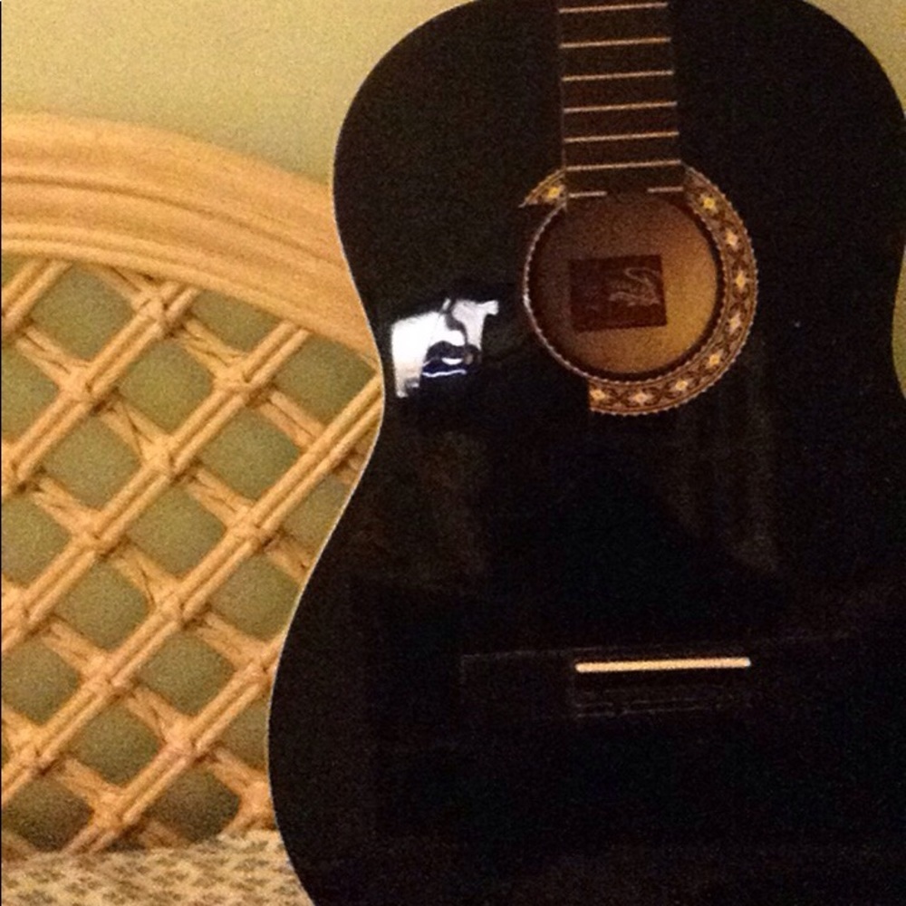 rogue guitar