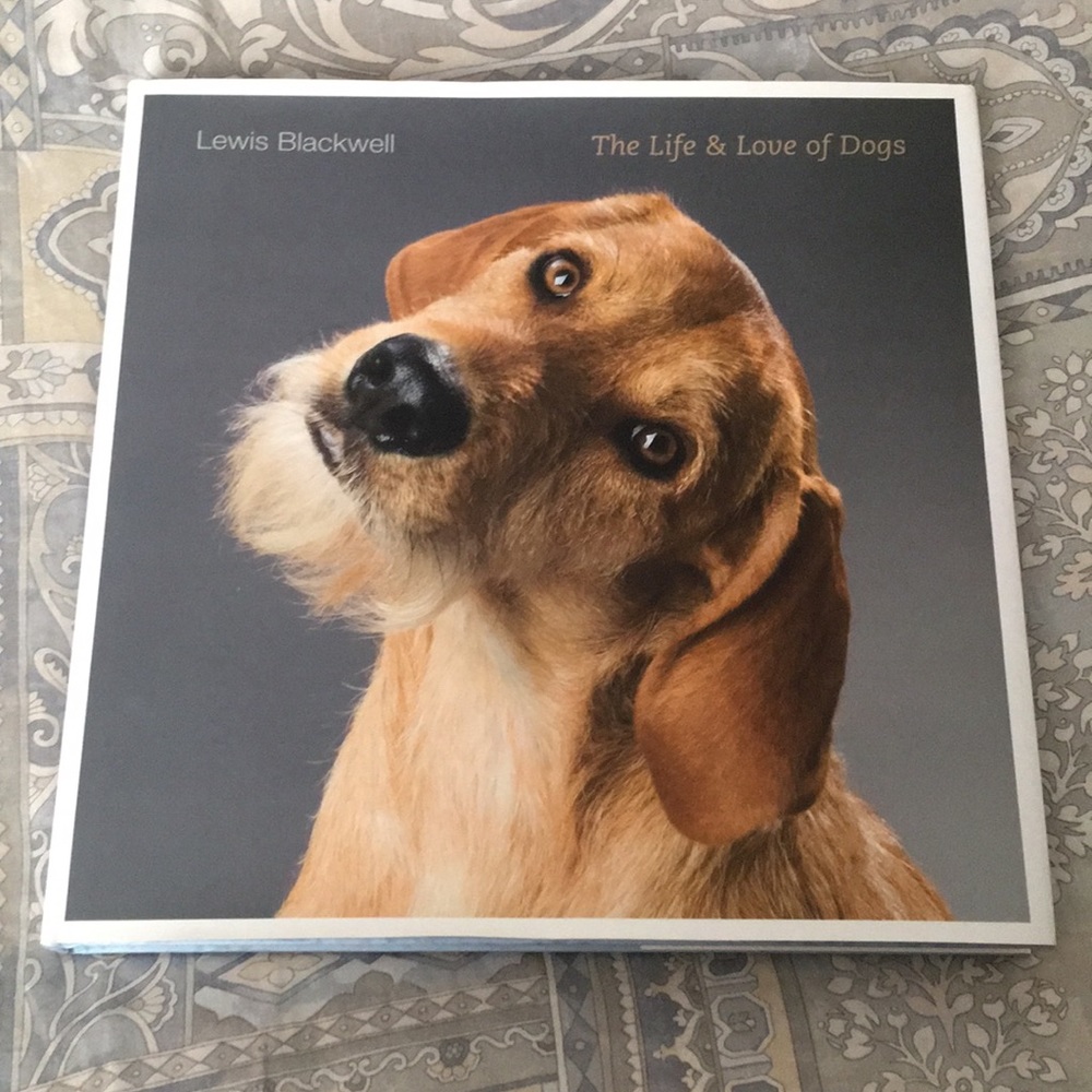 The Life of Love & Dogs by Lewis Blackwell