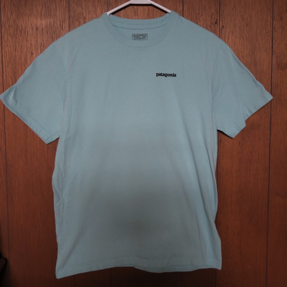 Patagonia Tarpon Tee (Sky Blue)