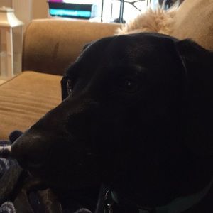 Meet your Posher, Jo