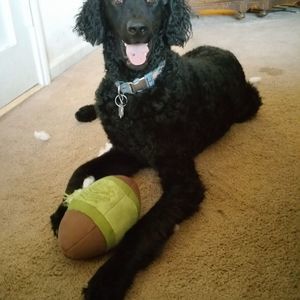 Meet your Posher, Katrina