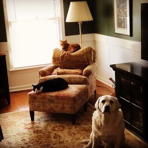 Meet your Posher, Mary