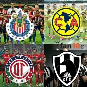 Meet your Posher, Alan