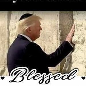 Meet your Posher, Reney bell