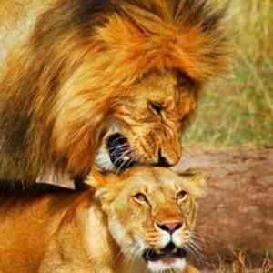 Meet your Posher, Marcus