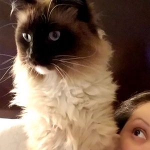 Meet your Posher, Nadia