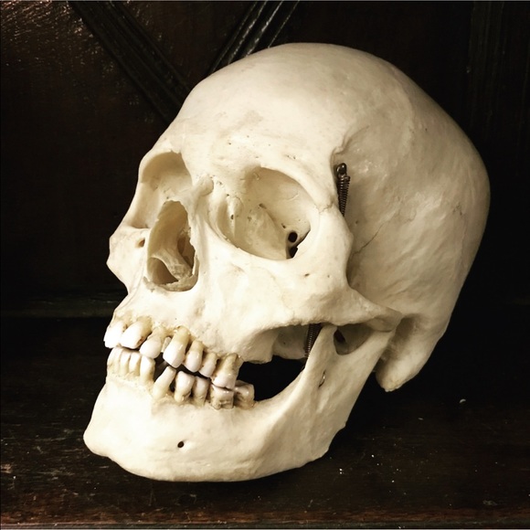 Meet your Posher, Mike - Picture 1 of 1