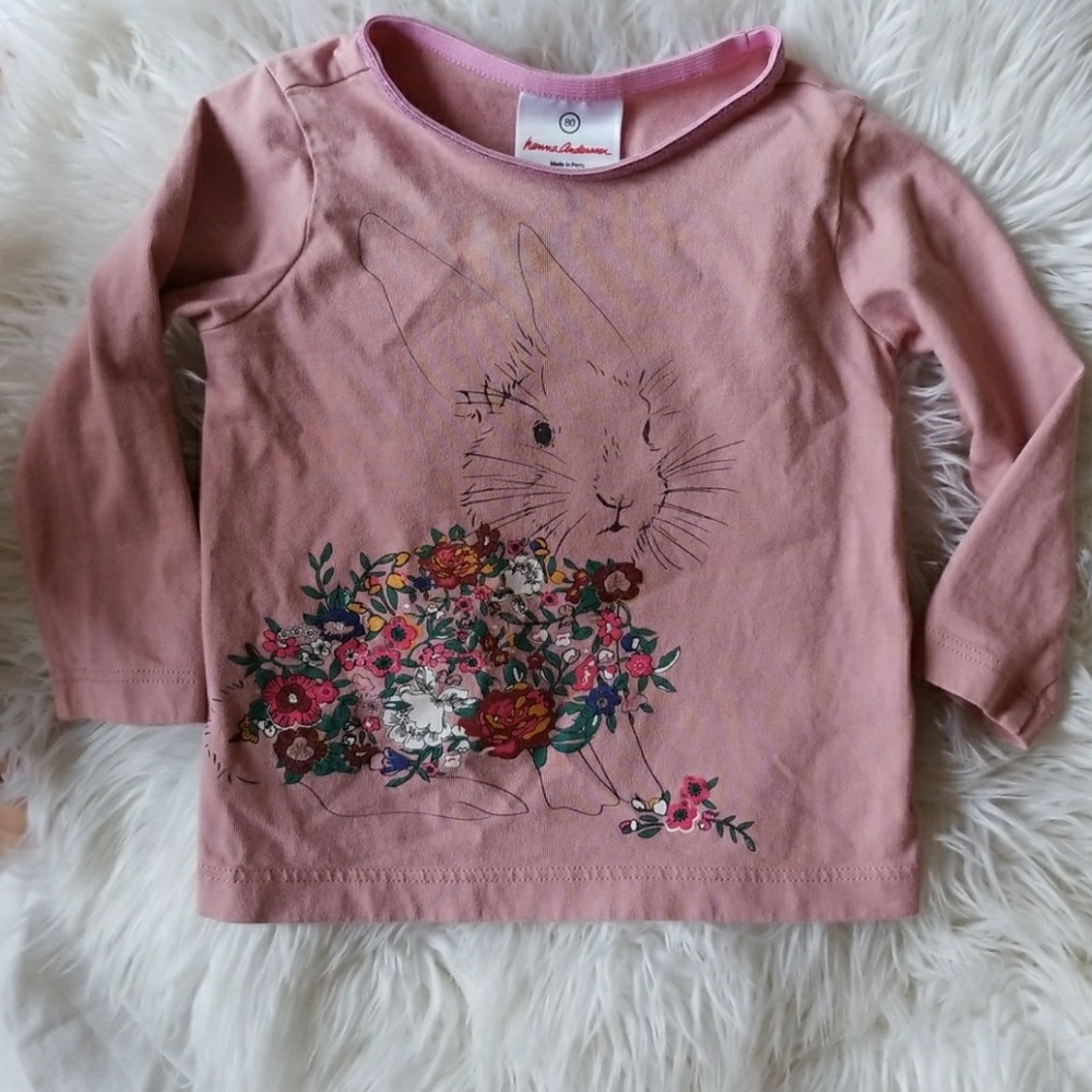 Hanna Andersson size 80 long sleeve graphic tee