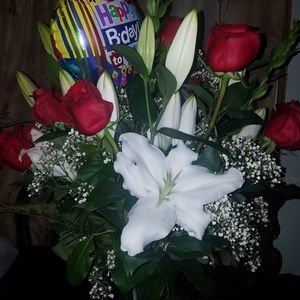 Meet your Posher, Norma