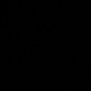 Meet your Posher, Gavin