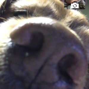 Meet your Posher, Laurie